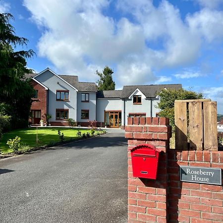 Bed and Breakfast Roseberry House Newcastle Emlyn Esterno foto