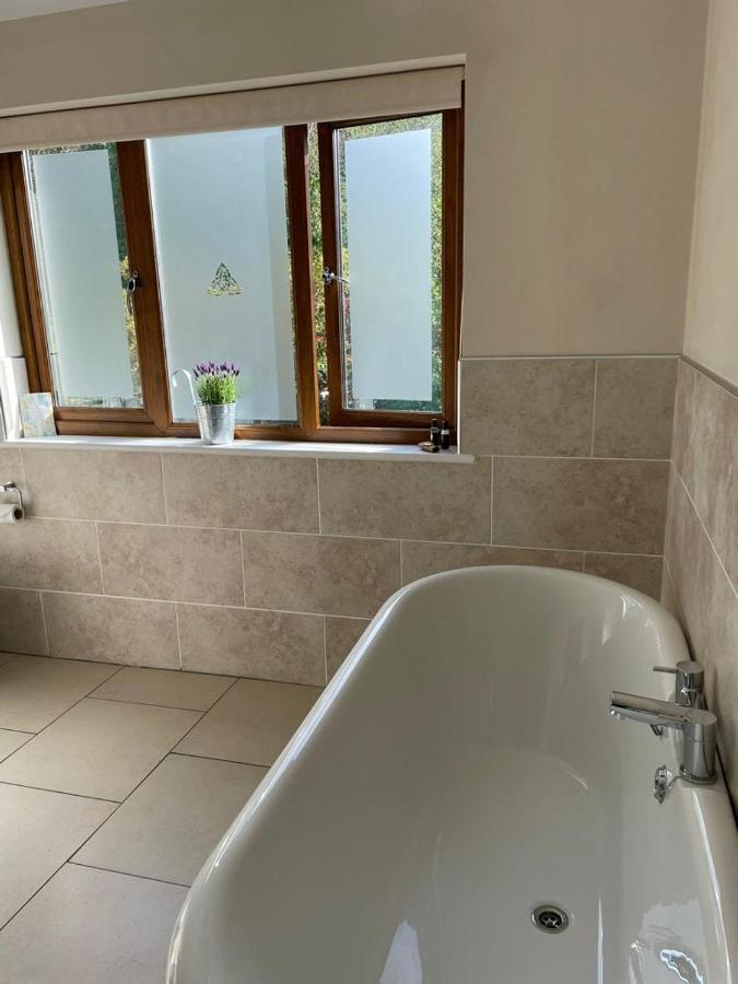Bed and Breakfast Roseberry House Newcastle Emlyn Esterno foto